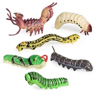 Solid Simulation Animal Larvae Caterpillar Model Set Moth Larvae Jade Belt Phoenix Butterfly Larvae 