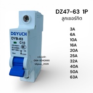 DZ47-63 Circuit Ball 1P