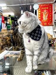 三角頸巾 - 菊花