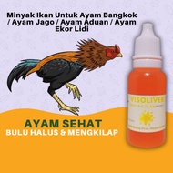 Visoliver Minyak Ikan Untuk Ayam Bangkok Aduan Jago Ekor Lidi Mengandung Omega3 Dan Vitamin