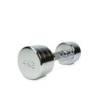 Electroplating Dumbbells 4kg (Diamond Bar Heart) (1 Piece) (4kg/Weight Training/Muscle/Biceps/Chest 