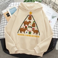 Capybara hoodies male harajuku anime 2022 printed men clothing 2022 printed