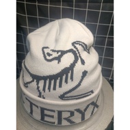 Arcteryx-Beanieshat-New Arcteryx Beanie