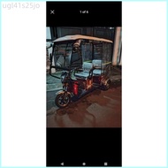 Trapal for ebike 008