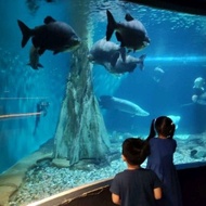 Aquaria KLCC Attraction Digital Ticket Voucher