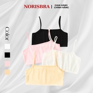 Combo of 4 Cool Cotton Girls' T-shirts - Set of 4 Comfortable Cotton T-shirts for Girls NORISBRA A03