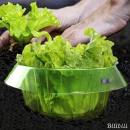 [Bilibili1] Garden Plant Cloche Protective Bell Cover 4.5inch Tall for Vegetables