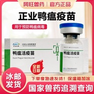 Duck Plague Active Vaccine Duckling Vaccine Duck Plague Duck Vaccine Vaccine Authentic Industry Biol