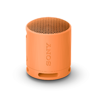 Sony SRS-XB100 ลำโพงไร้สาย Portable Wireless Speaker So