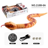 Remote control snake Remote controlled simulation animals Remote Controlled Toys for Boys Girls Kids