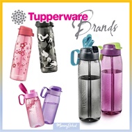 Tupperware H2Go Tumbler with Straw 750ml (Black/Pink)/ Air Botol Minum/ Air/ Brush straw