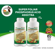 SnT SUPER FOLIAR PHOSPHORUS ACID 400XTRA (1L) - Rawatan Kanker Batang Durian, Foliar Subur, Pokok Ta