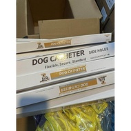 Dog Catheter Veterinary Urinary Catheter 4FR,5FR,8FR