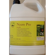 Neem oil for plants very concentrated 5 litres Natural pesticide and insecticide