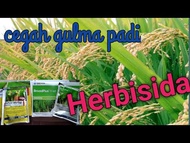 obat rumput  ally plus herbisida  broad plus herbisida pembasmi rumput gulma  padi 40gr