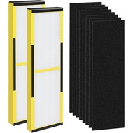 FLT4825 HEPA Filter B Replacement with Air Purifier AC4825 AC4825E AC4300 AC4800 AC4900 AC4850 by Te