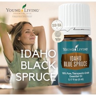 Young Living Idaho Blue Spruce Essential Oil Singles 5ml