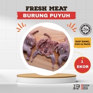 BURUNG PUYUH 1 EKOR [DELIVERY 1 SEMENANJUNG]