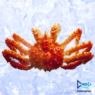 Frozen King Crab 帝皇蟹 (1.4-1.6kg)