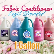 Fabric Conditioner 1 Gallon - Fabcon ( FC 1 Gallon) NO LABEL