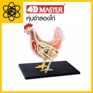 4D Vision 4D Chicken Model