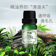 QZ🍫Eucalyptus Essential Oil Australia Eucalyptus Oil Single Square Aromatherapy Smooth Respiratory System Weishitong Nas