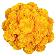 【A Popular】  I5Opcs Marigold Flower Heads Bulk for Indian Pooja Bush Floral for Diwali Home Decor DI