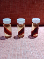 Minyak Bunga Kantil Merah Original