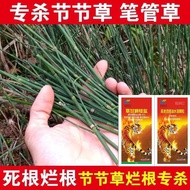 专杀节节草克星草甘磷铵盐除草烂根剂水花生克星除草剂正品农药A specialized herbicide that effectively controls smartweed, based on a