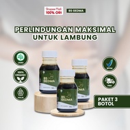 [PROMO] BS GEDMA HONEY 3 Bottles COD Honey Supplement for Stomach Health, Gerd, and Magh BPOM HALAL
