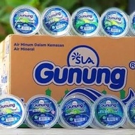 AIR MINERAL GUNUNG GELAS 1 DUS ISI 48 pcs