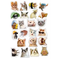 Cute cat Meme sticker pack