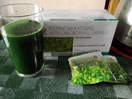 Instant Wheatgrass with Chlorophyll Granules