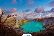 Open Trip Kawah Ijen dan Baluran by Cakra Adventure