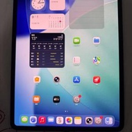 Mon花100電 Ipad pro m4 13吋 256gb黑色 wifi