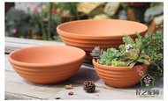 Succulent Cactus Pots 🌳 Clay Pot / Ceramic Flower Pot / Planter Pot / Pasu Seramik / Terracotta Pot 红陶瓷花盆