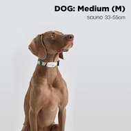 Petkit Smart Pet Activity Monitor ปลอกคออัจฉริยะ​สำหรับ​สัตว์​เลี้ยง​เชื่อมต่อแอปได้