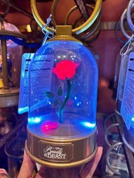 日本東京迪士尼 Beauty and the Beast 玫瑰花燈籠 小夜燈 LED 燈 中秋