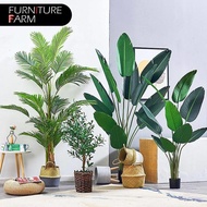 F&F : POKOK VIRAL PREMIUM SKYBIRD/artificial plant/artificial banana/pokok hiasan/home decor