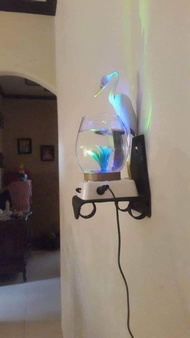 BISA COD AQUARIUM MINI / AQUARIUM IKAN HIAS/AQUARIUM IKAN CUPANG