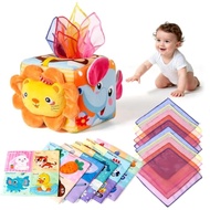 Tadika Toy Baby Tissue Box Toy (6-12 Months), Sensory Toy Suitable for 1 Year Old Baby