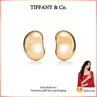 (New) Womens Fashion Earrings Gold plated Bean design earrings Valentines Day holiday gifts