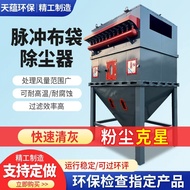 Pulse Cloth Bag Dust Collector Industrial Dust Collector Central Dust Removal Equipment Roof Cloth B