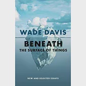 Beneath the Surface of Things: New and Selected Essays