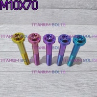 Titanium Bolts GR5 Titanium Bolts M10X70 Original Titanium Umbrella Bolts