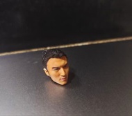 謝賢兒子 英皇明星 謝霆鋒 1/12 頭雕 （可配 shf / Marvel Legends/ Neca / McFarlane/ 閃回 / Mafex/ Mezco) (不是閃卡 / 海報）