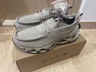 Mizuno wave prophecy moc