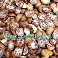 Buah Pinang Kupas / Buah Jambe Kering / Buah Pinang Kering / 500 Gram