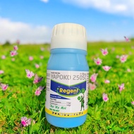 Thuốc trừ sâu Yapoko hiệu Regent Gold 250SC - Chai 240ml