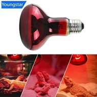 【FY】  Reptile Heating Lamp UVA Infrared Bulb 25W-100W for Pet Snake Turtle Gecko Amphibian Pet Heati